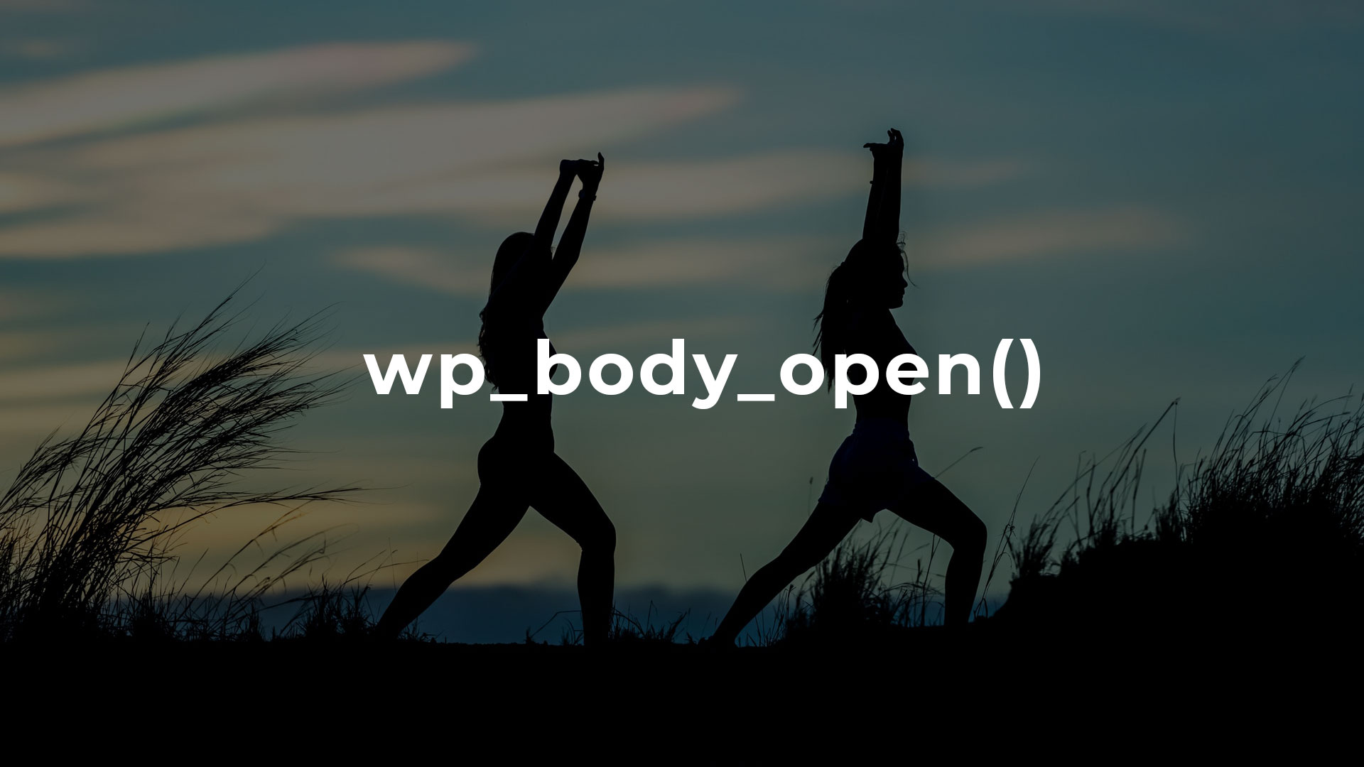 wp_body_open() を使ってbody開始タグのすぐあとにソースコードを簡単に挿入する方法